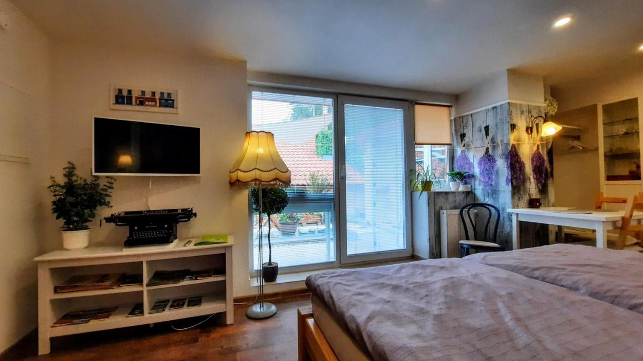 Apartman Za Kopcem Boskovice Buitenkant foto