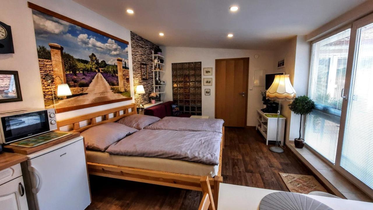 Apartman Za Kopcem Boskovice Buitenkant foto