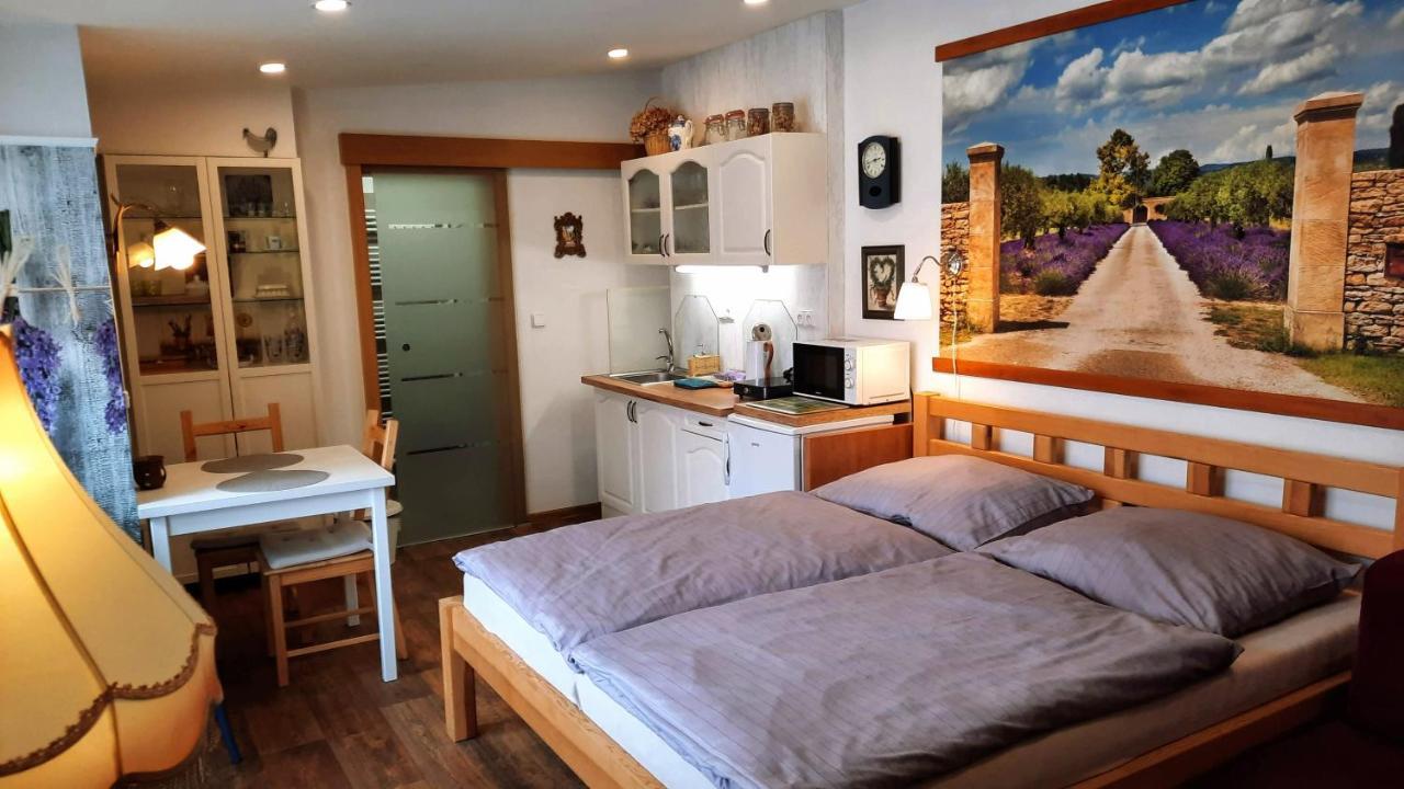 Apartman Za Kopcem Boskovice Buitenkant foto