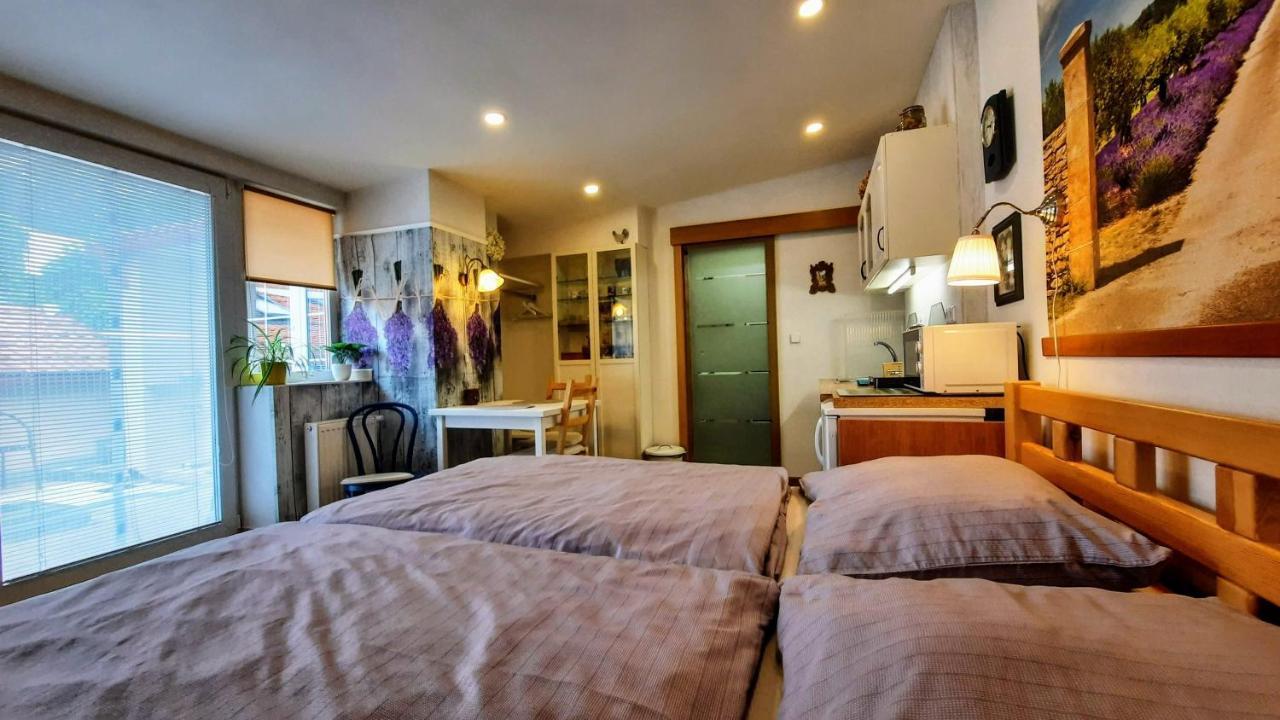 Apartman Za Kopcem Boskovice Buitenkant foto