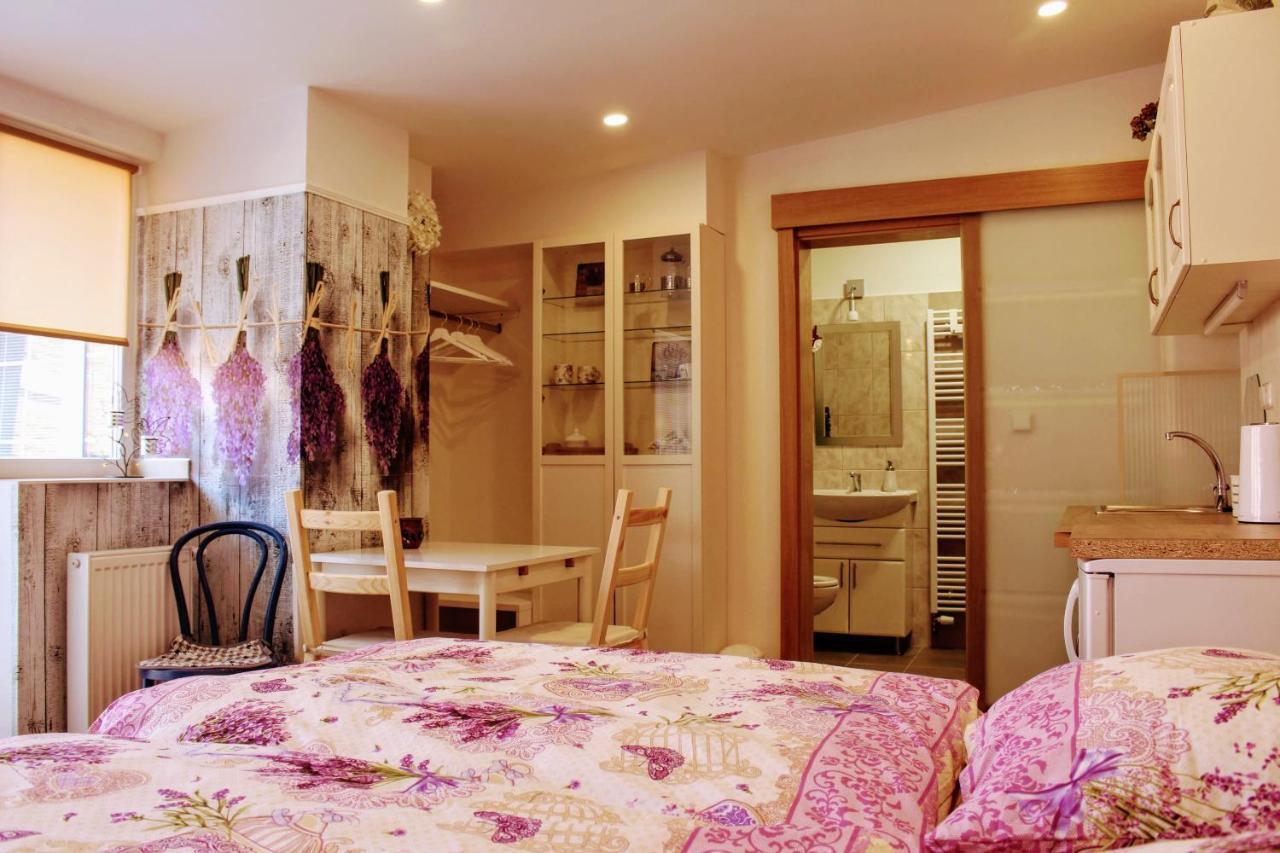 Apartman Za Kopcem Boskovice Buitenkant foto